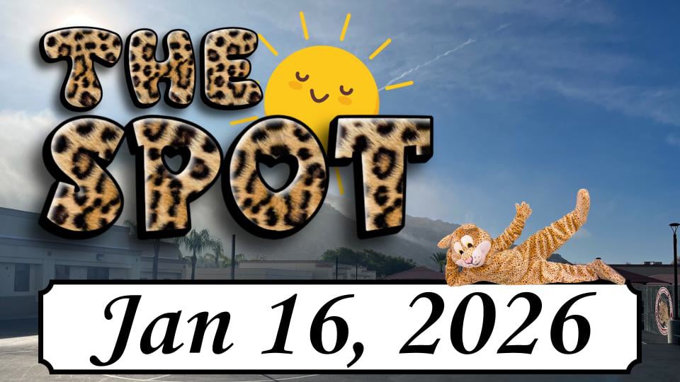 LES - The Spot 1/16/25
