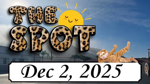 LES - The Spot LIVE LINK