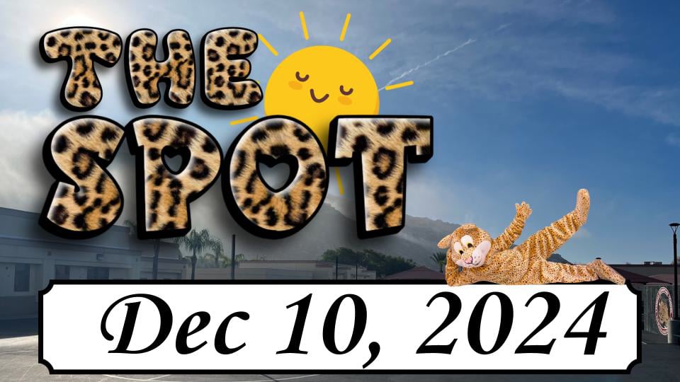 LES - The Spot 12/10/24
