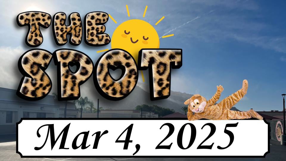 LES - The Spot 3/4/25