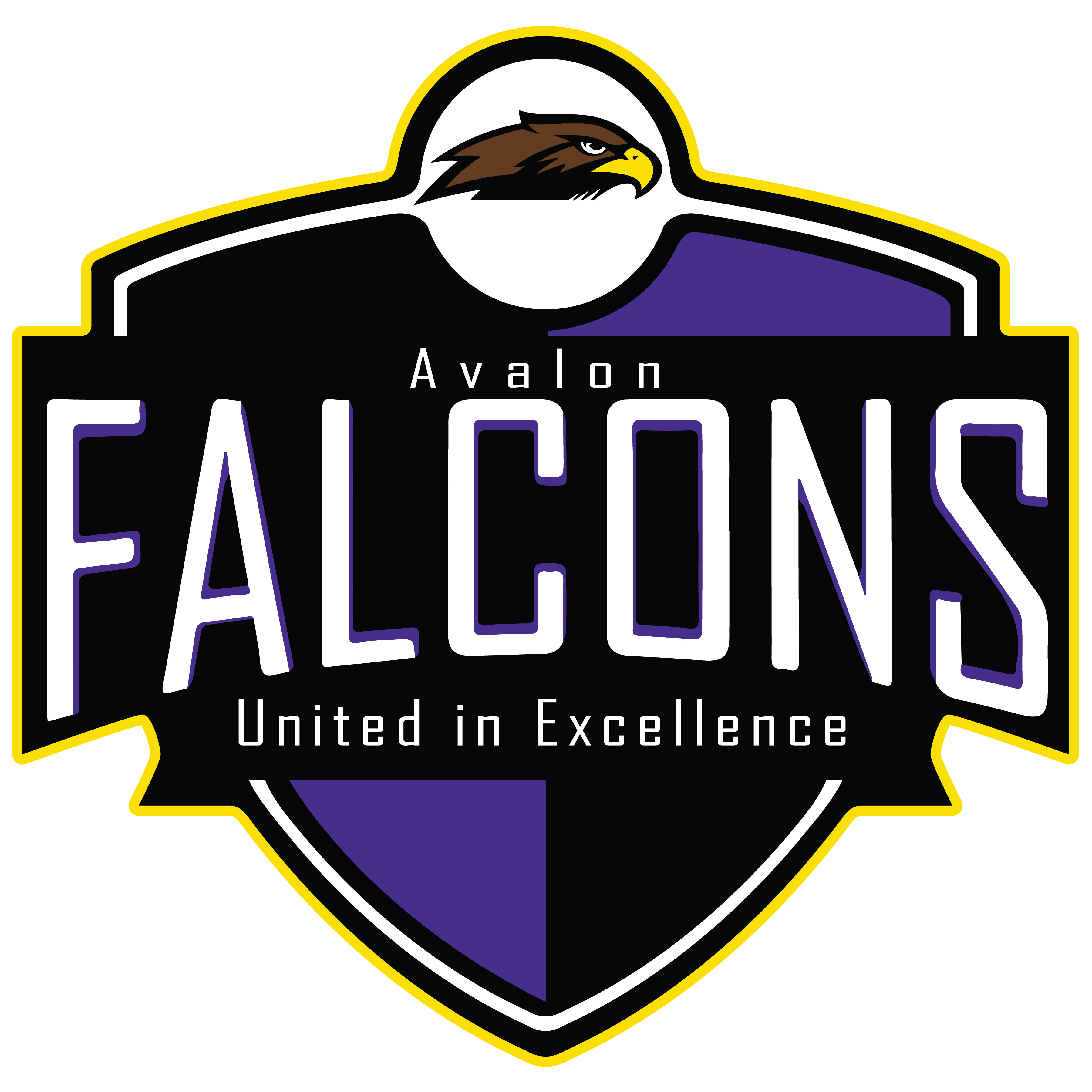 Avalon Elementary Falcons