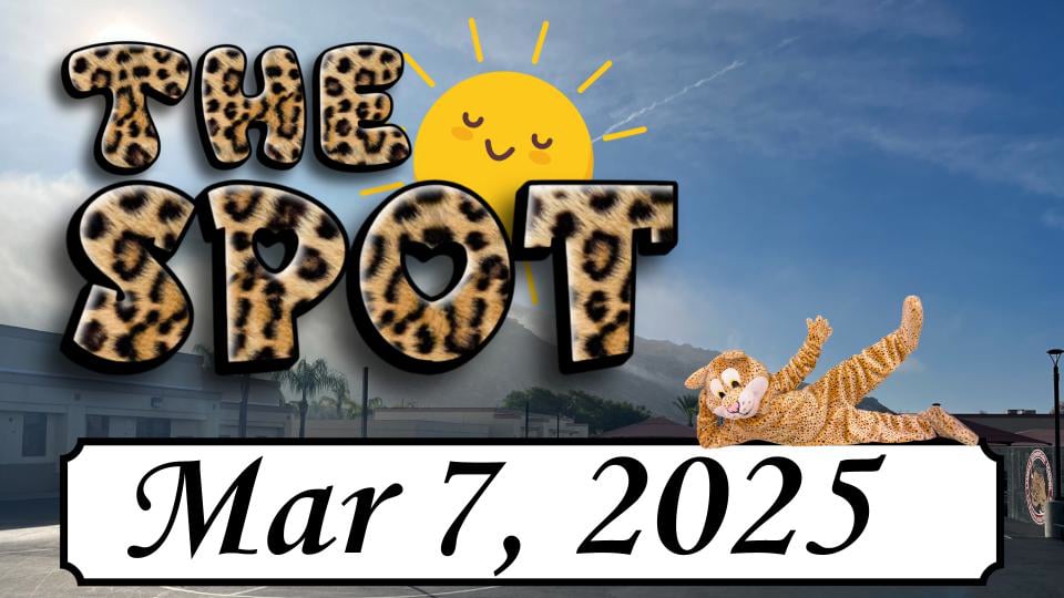 LES - The Spot 3/7/25