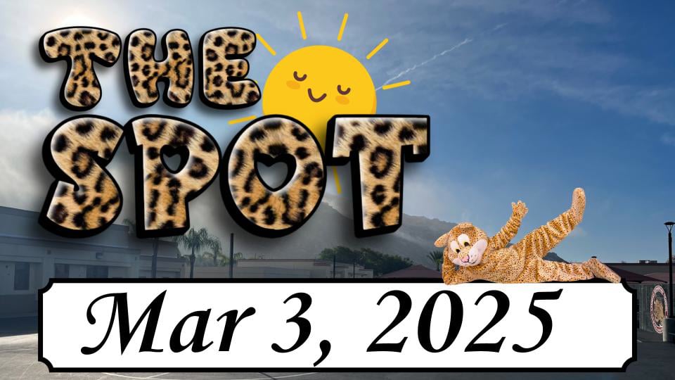 LES - The Spot 3/3/25