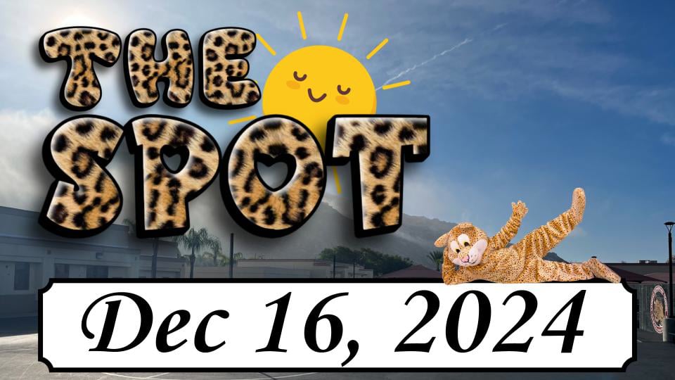 LES - The Spot 12/16/24