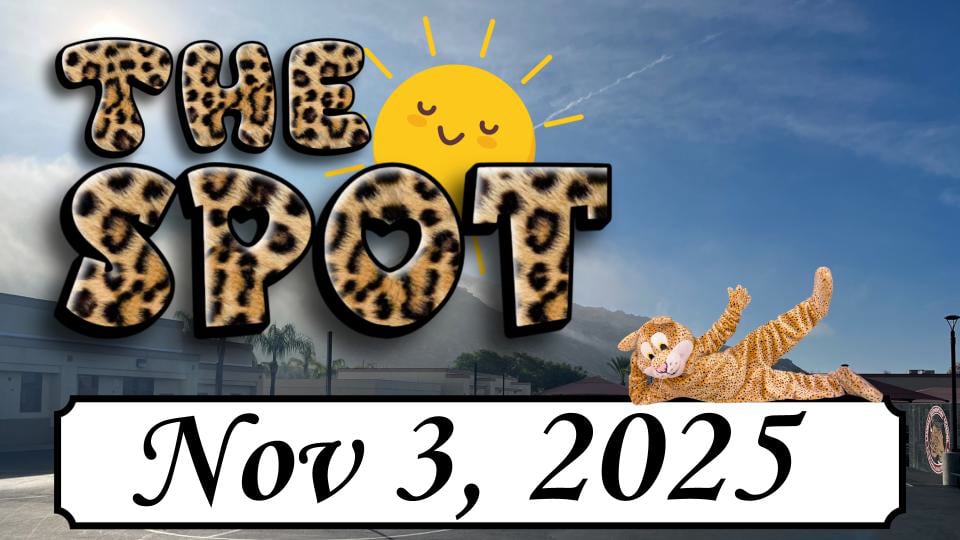 LES - The Spot 11/3/25