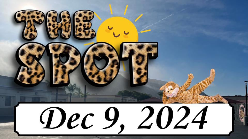 LES - The Spot 12/9/24