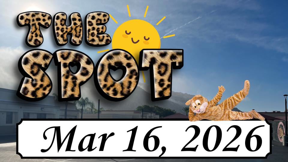 LES - The Spot 3/16/26