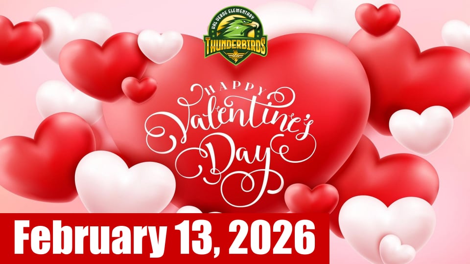 Thunderbird News! 2-13-26