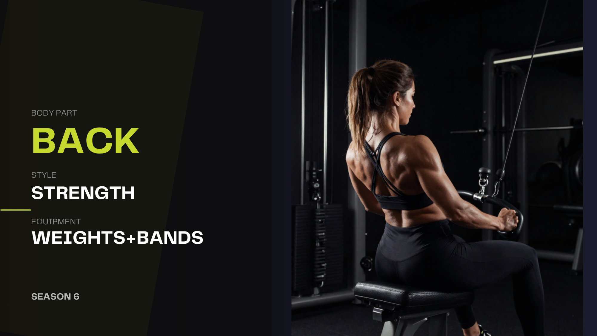 Back Strength (weights+bands) 051326