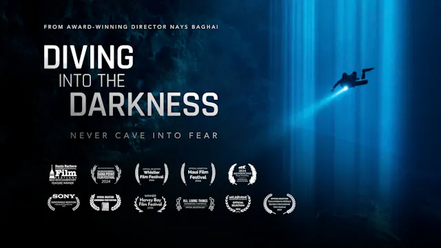 Diving Into The Darkness