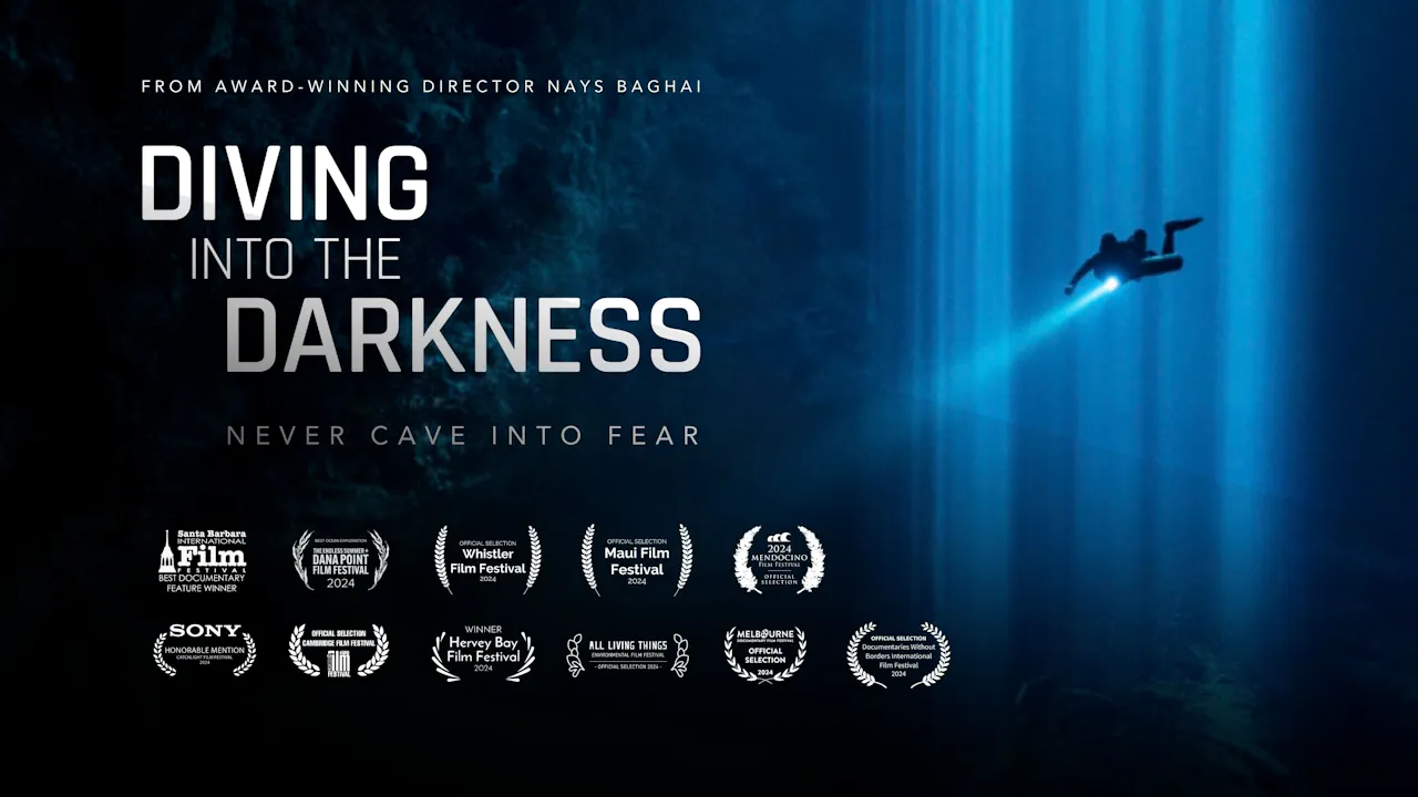 Diving Into The Darkness