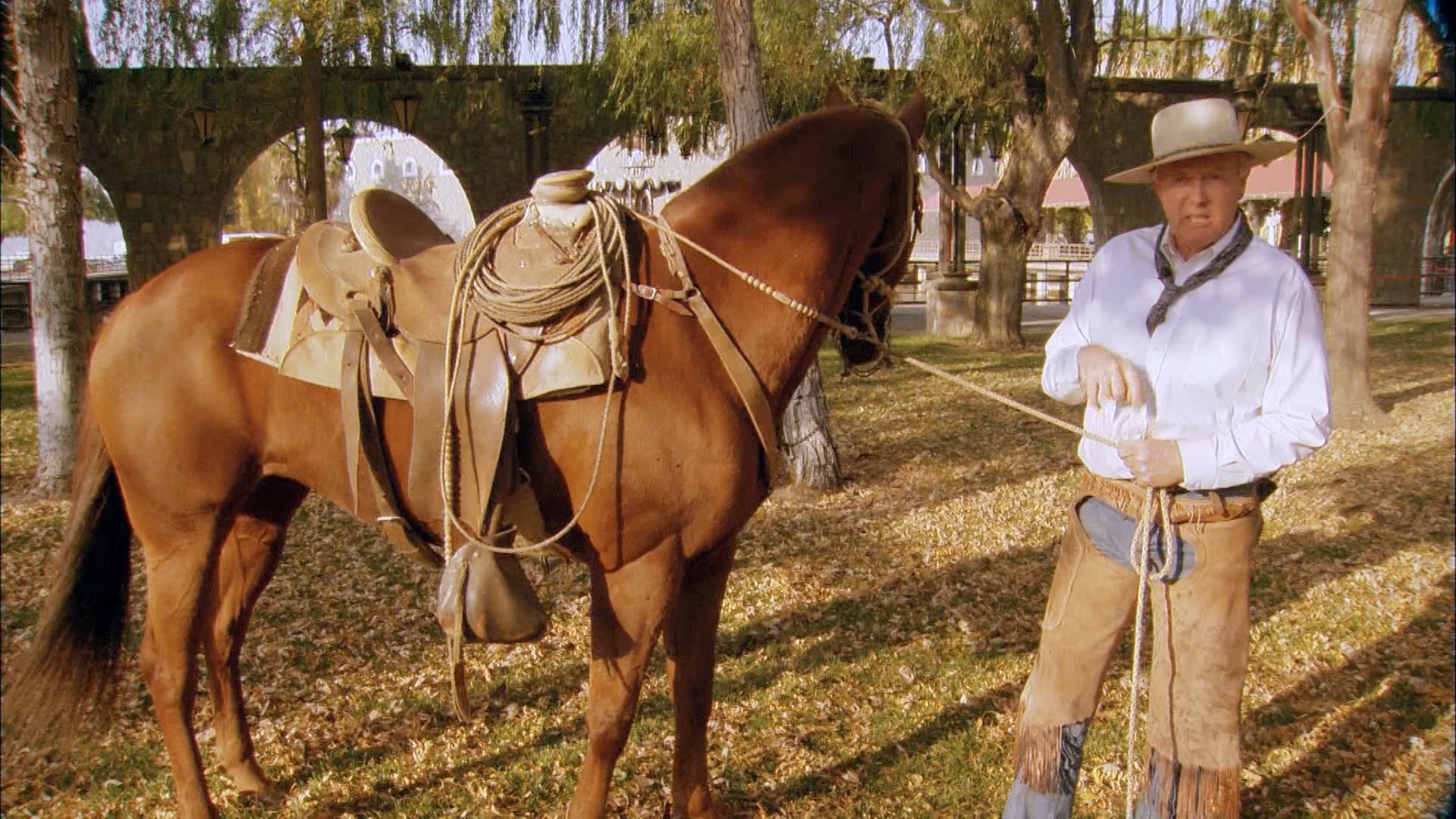 The Gathering_1920x1080p2997_30mbps