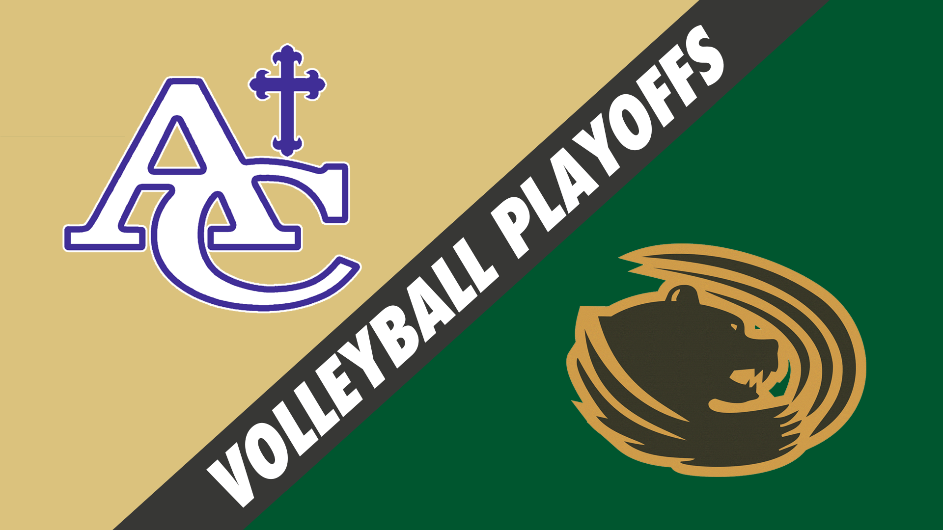 Volleyball- Div V Playoffs: Ascension Catholic vs Highland Baptist