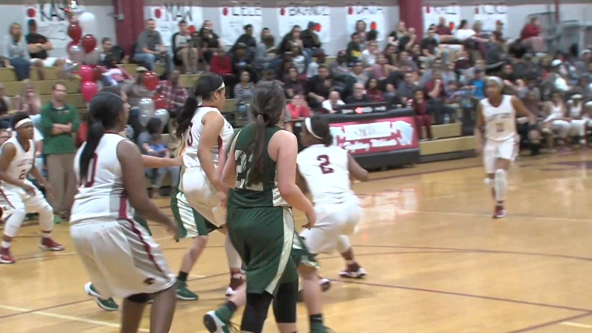 Lady and the Cats: S2:E2