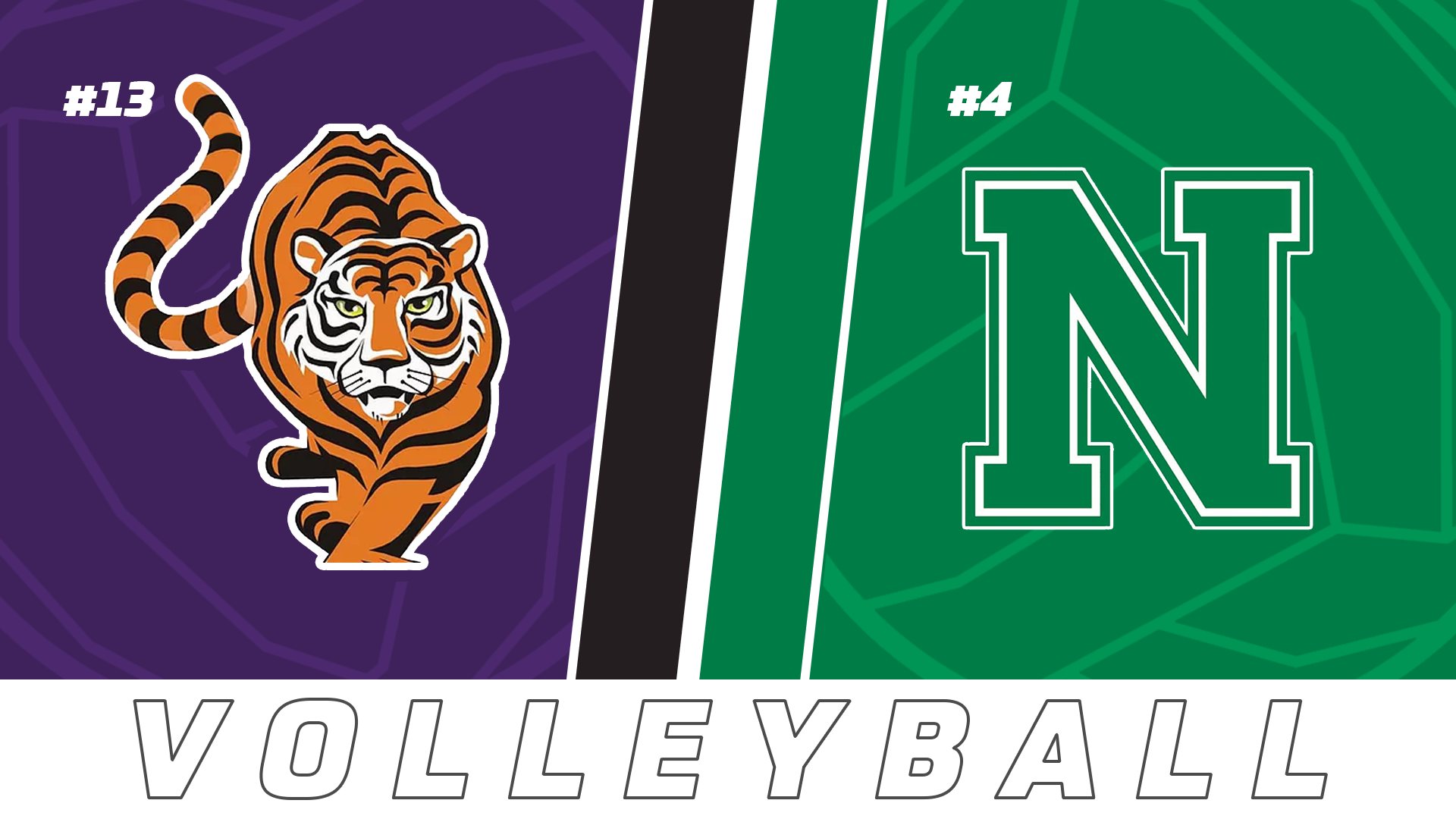 Volleyball Playoffs: Doyle vs Newman