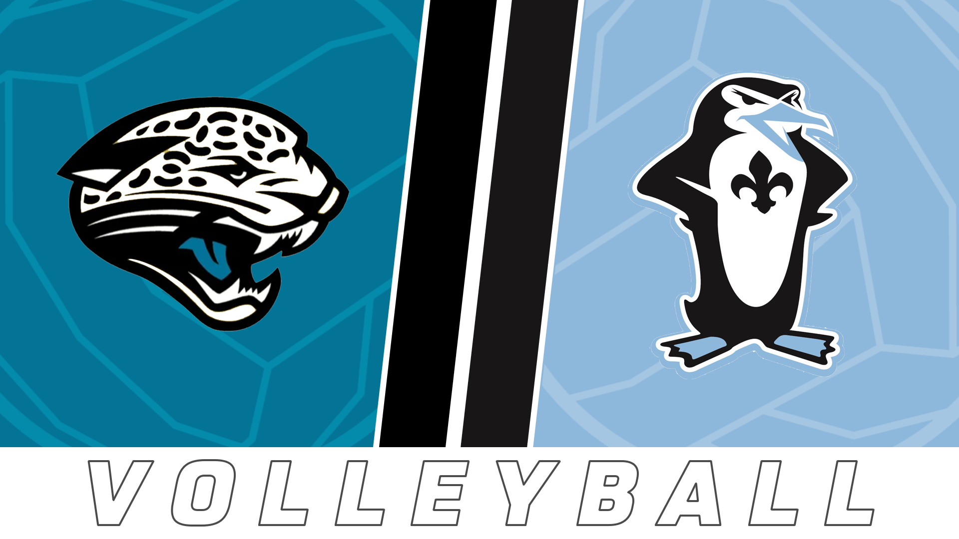 Volleyball: Thomas Jefferson vs Academy of Our Lady