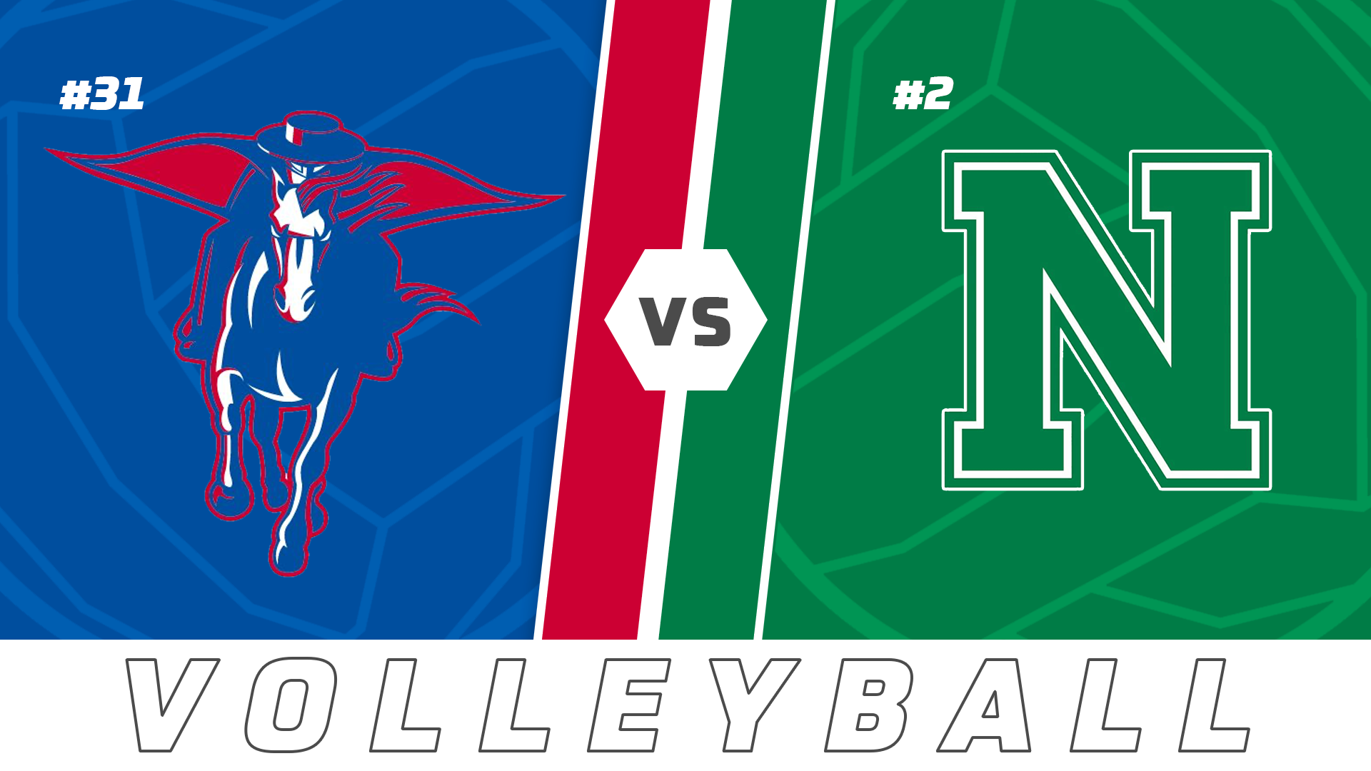 Volleyball Playoffs: Pine vs Newman