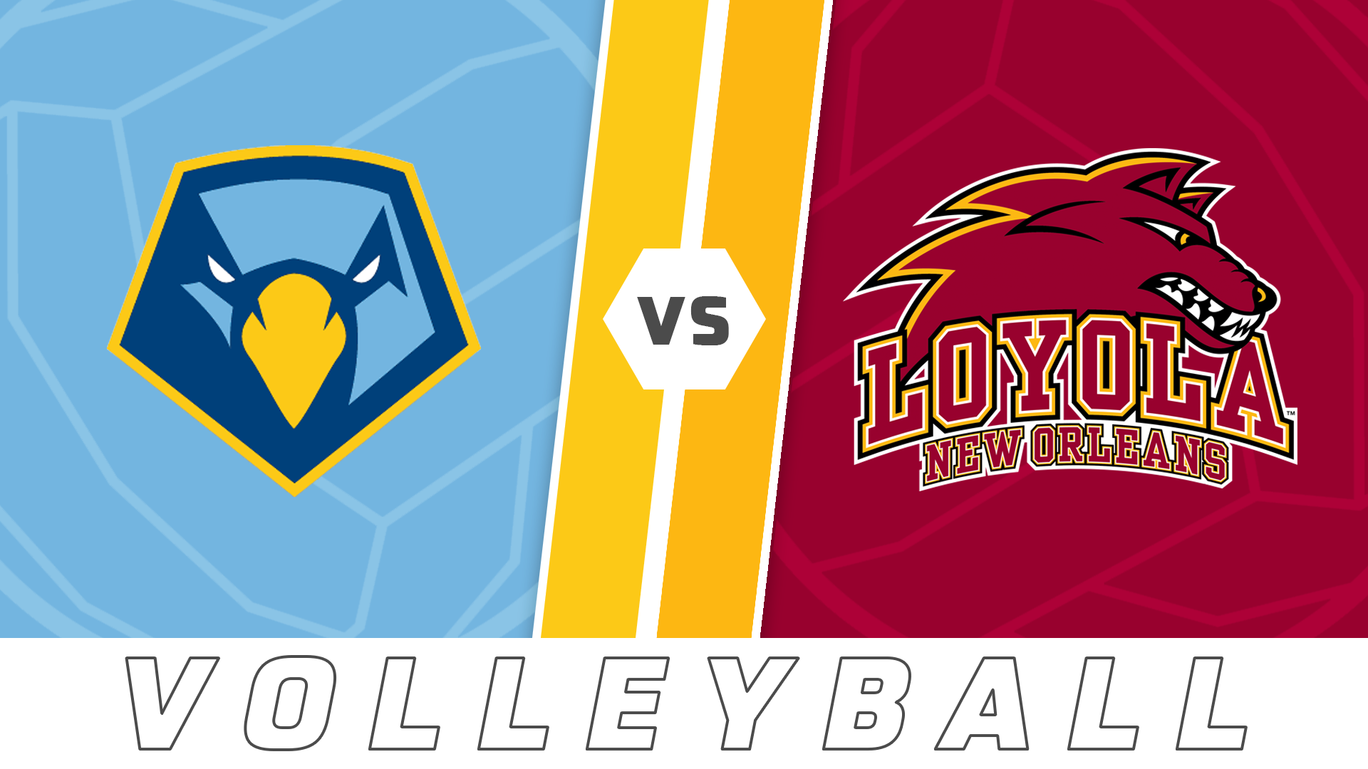 College Volleyball: Point vs Loyola
