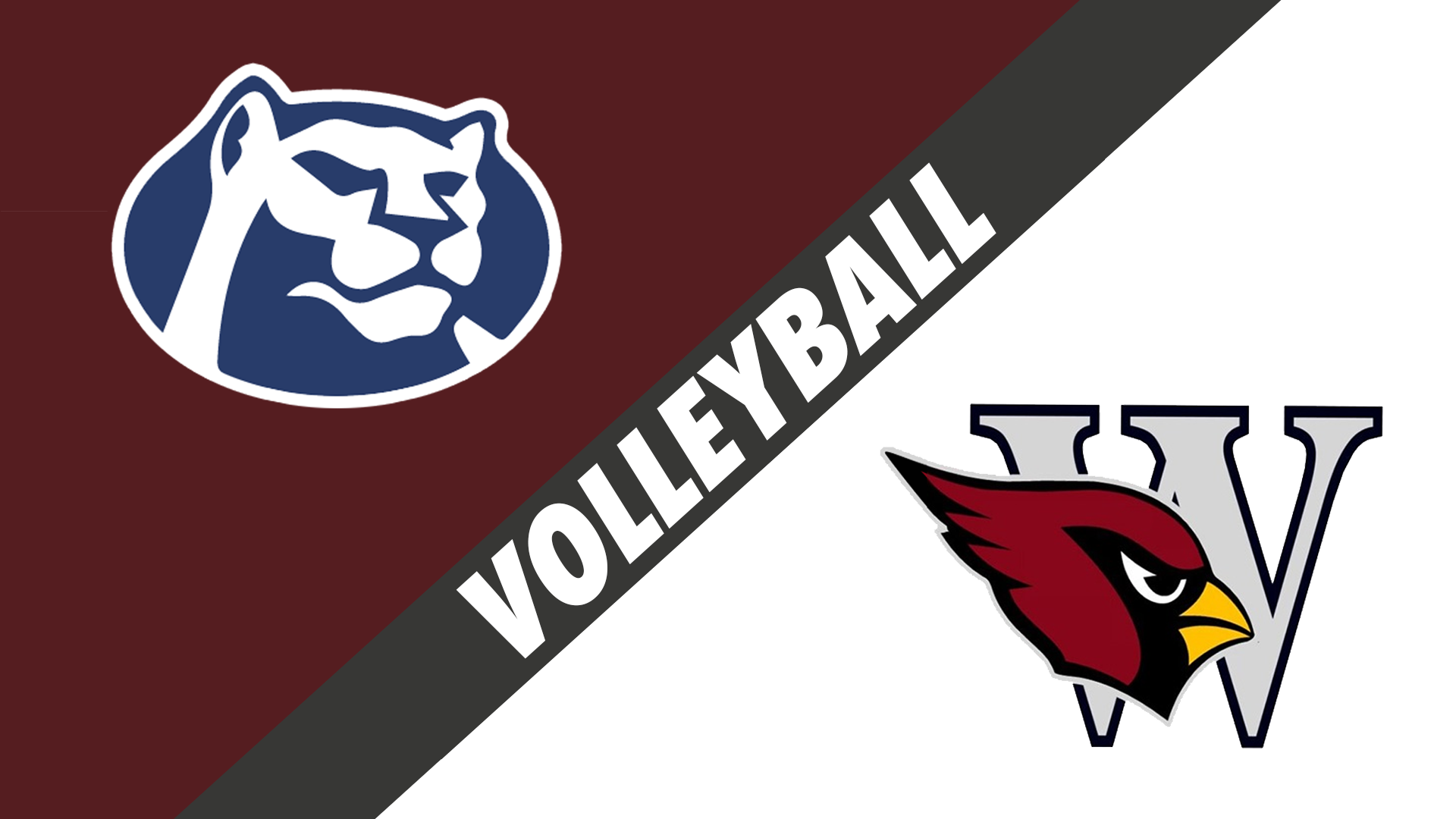 Volleyball: St. Thomas More vs E.D. White