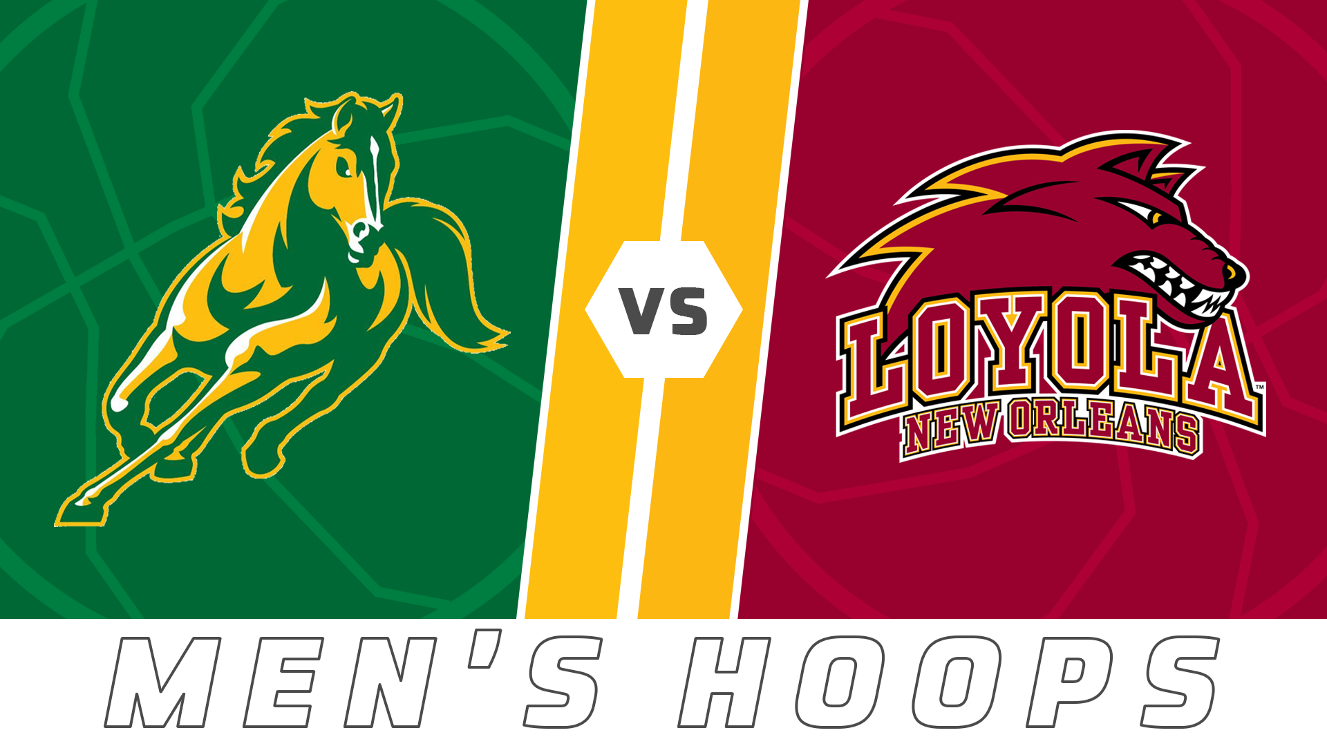 Mens Basketball: Abraham Baldwin vs Loyola