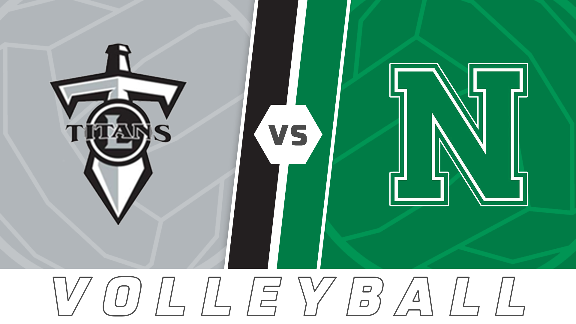 Volleyball: Lakeshore vs Newman