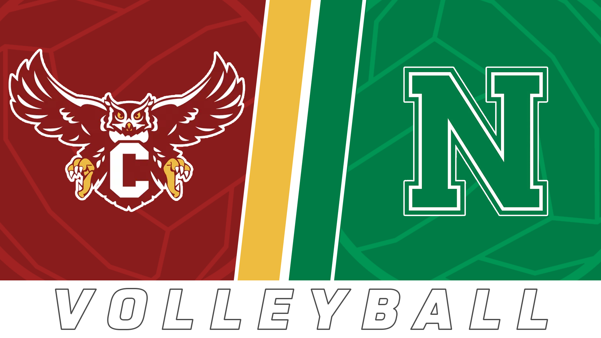 Volleyball: Chalmette vs Newman