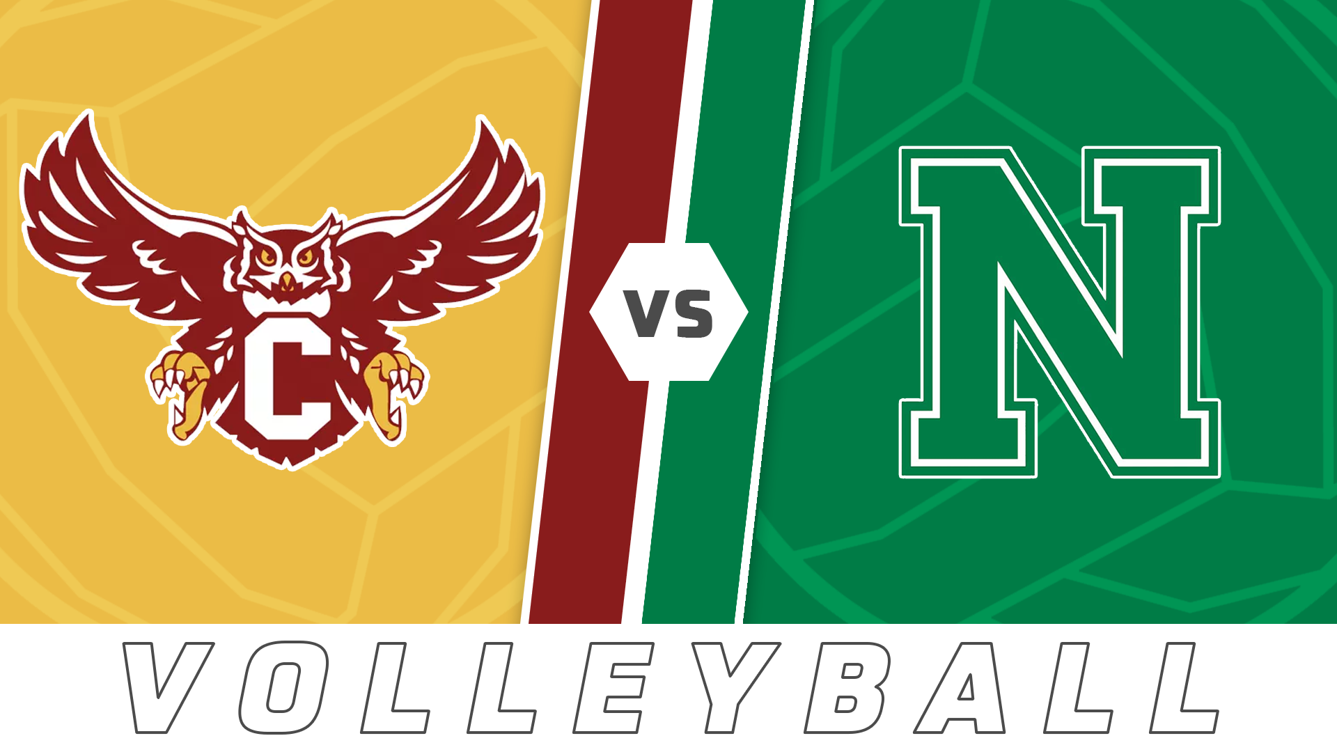 Volleyball: Chalmette vs Newman