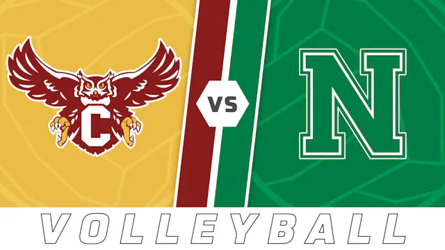 Volleyball: Chalmette vs Newman