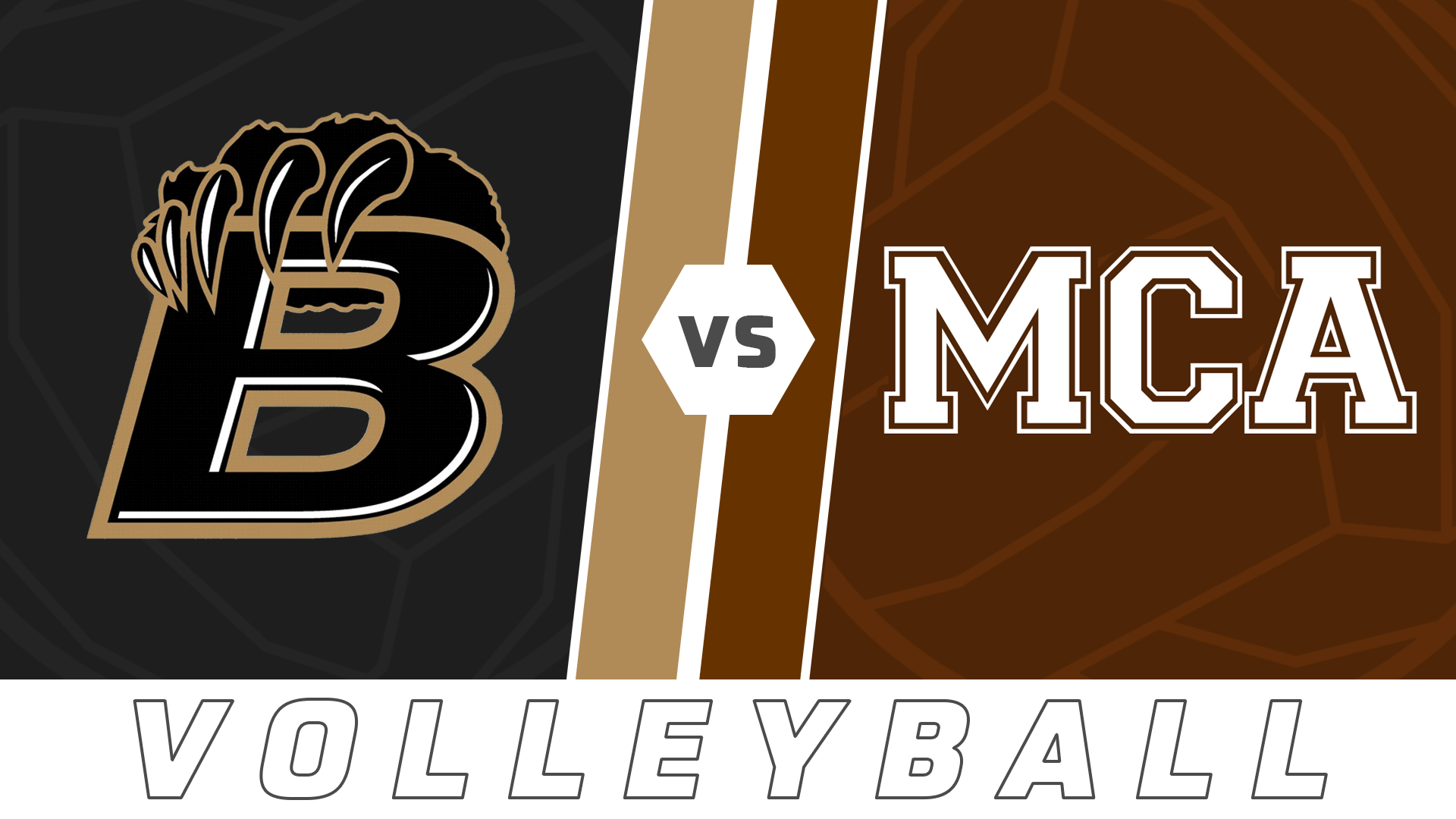 Volleyball: Bonnabel vs Mount Carmel