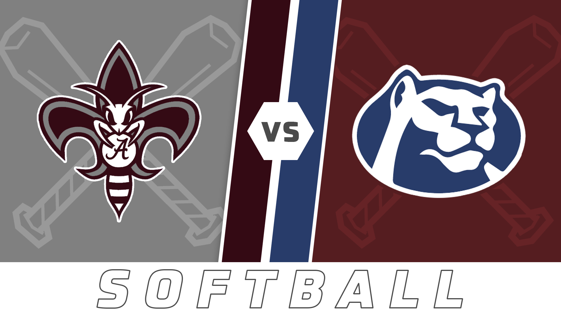 Softball: Albany vs St. Thomas More