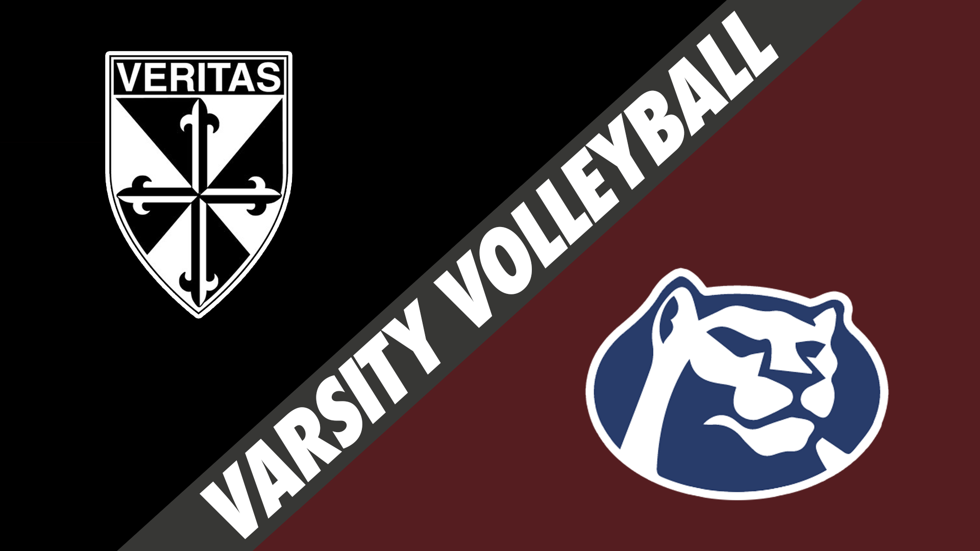 Varsity Volleyball: Dominican vs St. Thomas More