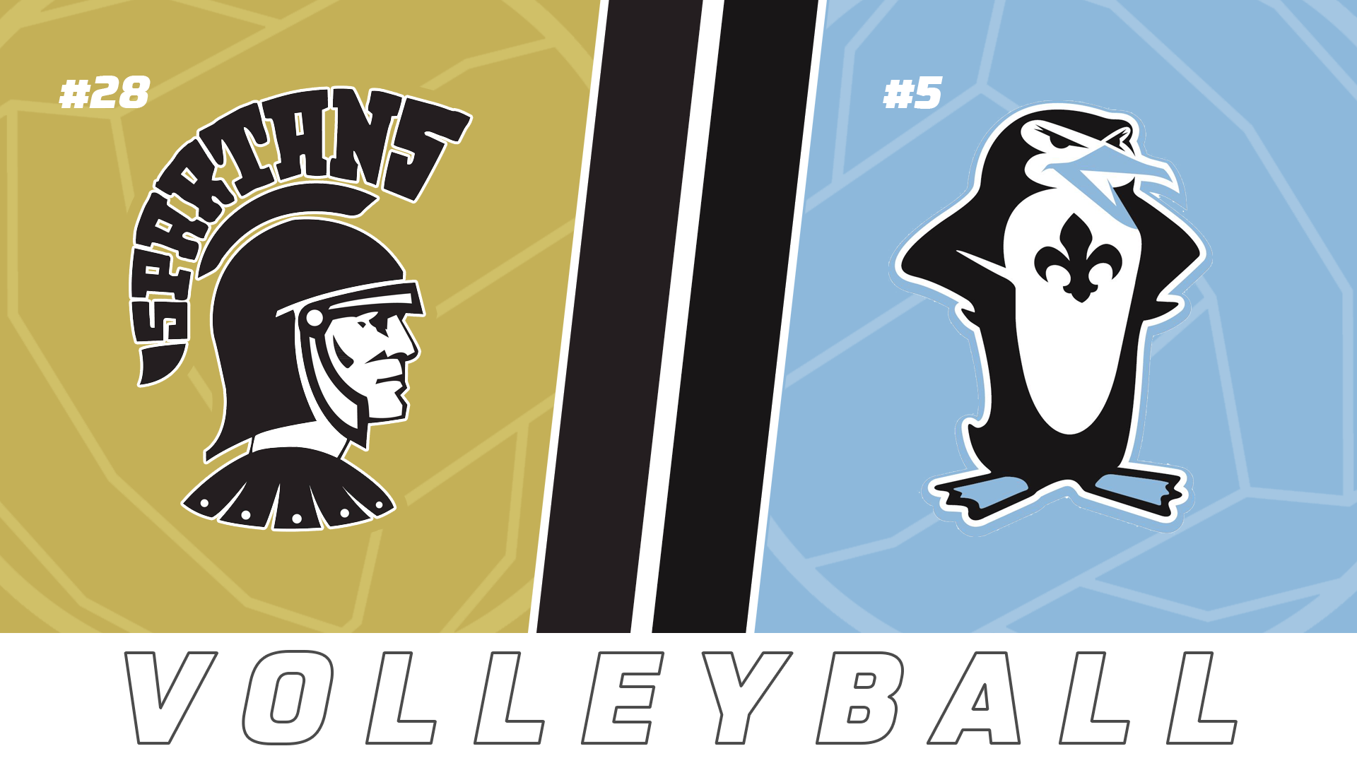 Volleyball Playoffs: Salmen vs Academy of Our Lady