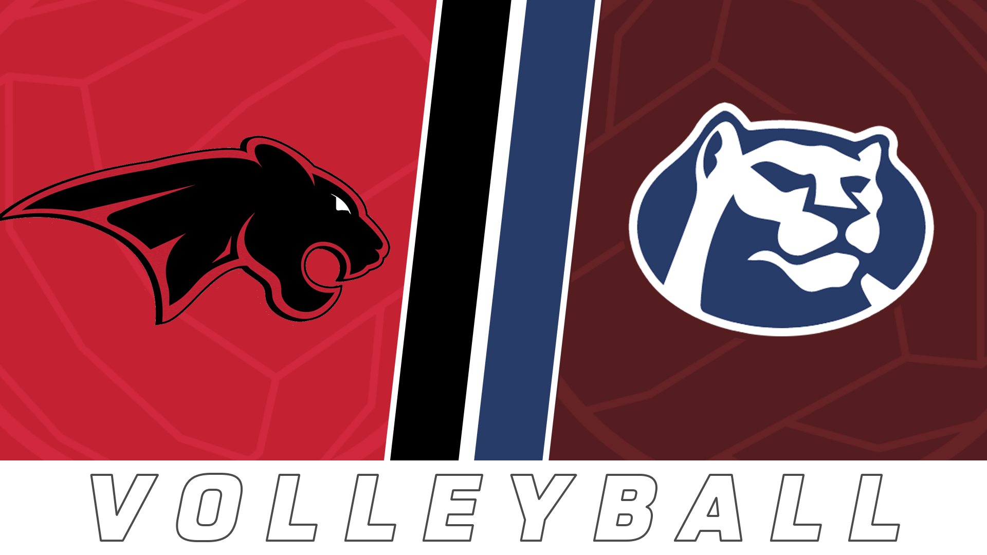 Volleyball: Catholic New Iberia vs St. Thomas More