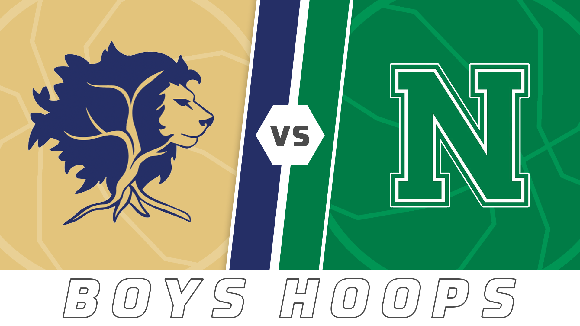 Boys Basketball: Willow School vs Newman