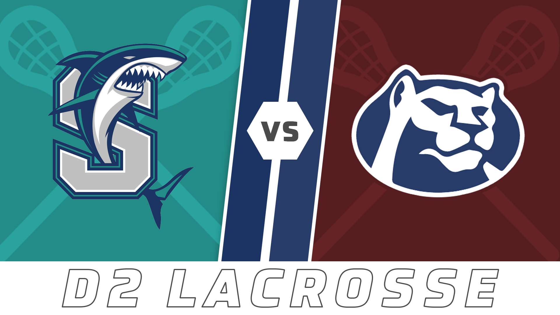 D2 Lacrosse: Southside vs St. Thomas More