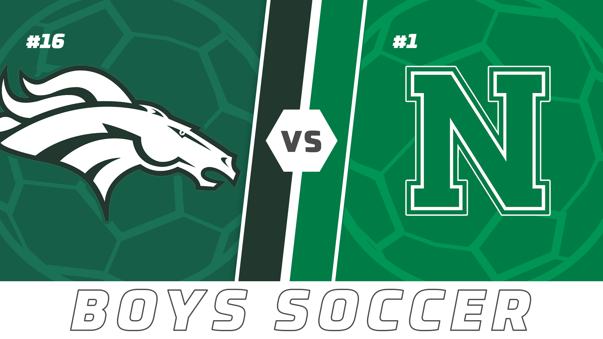 Boys Soccer Playoffs: Rapides vs Newman