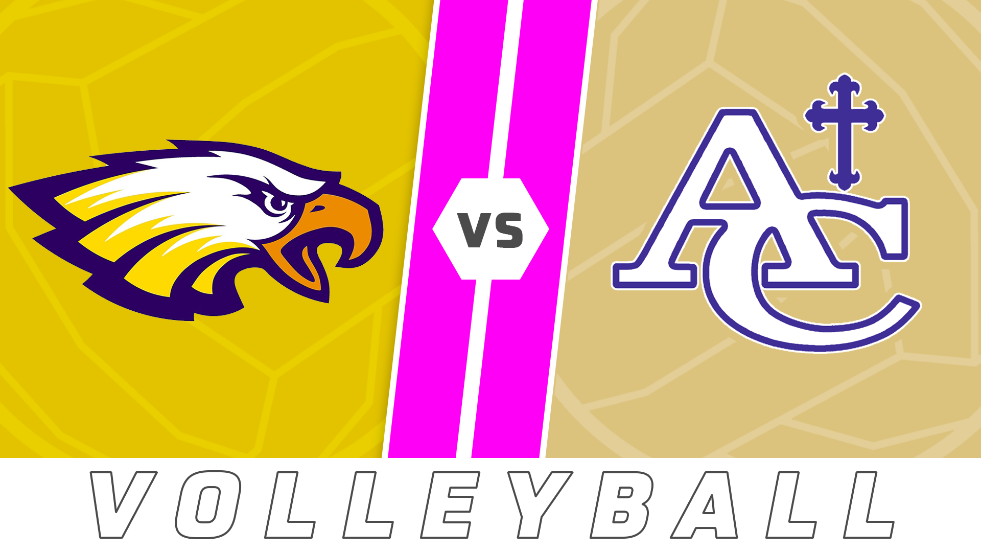 Volleyball: St. John vs Ascension Catholic
