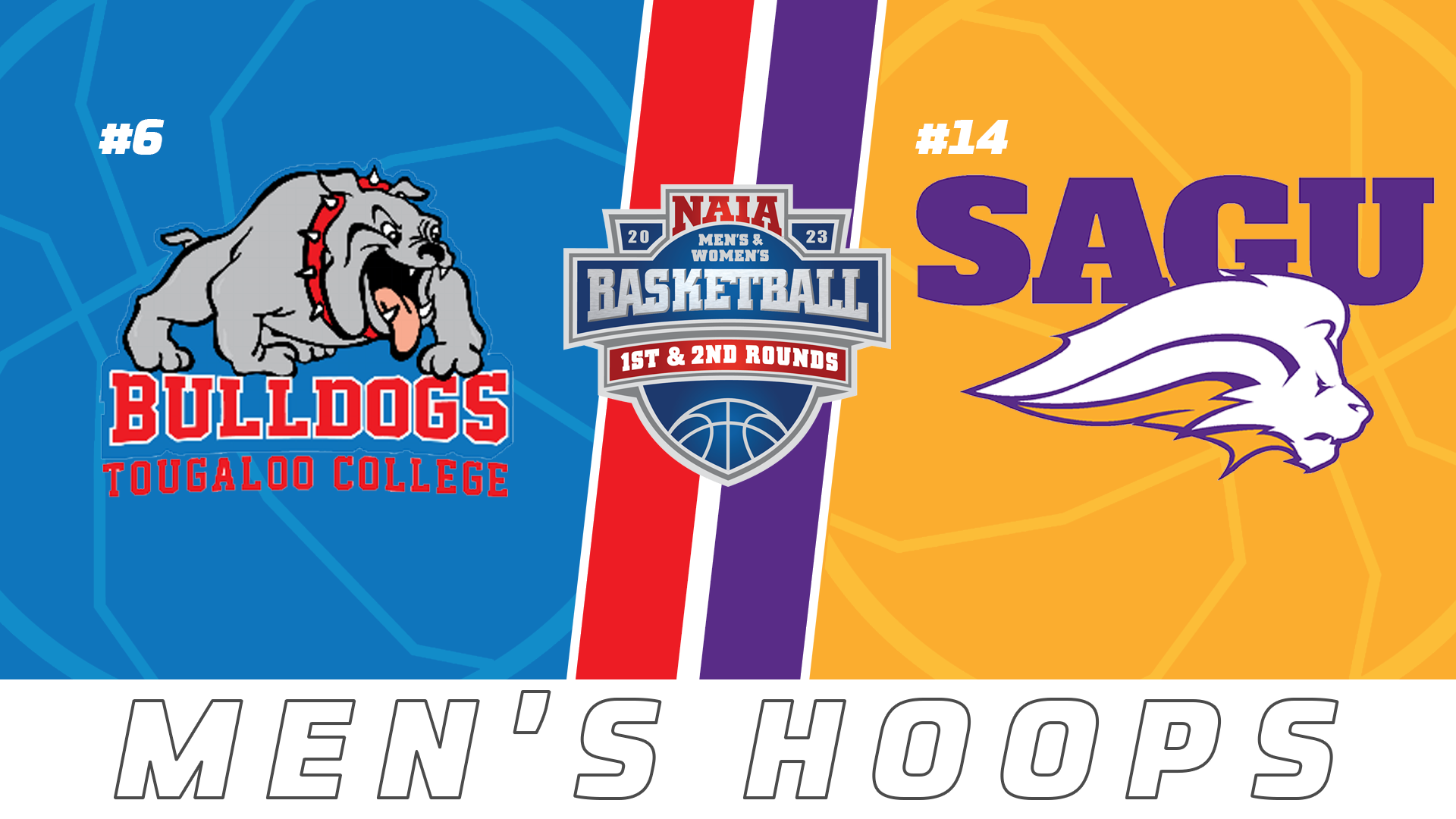 NAIA Tournament- Mens Basketball: SAGU vs Tougaloo College