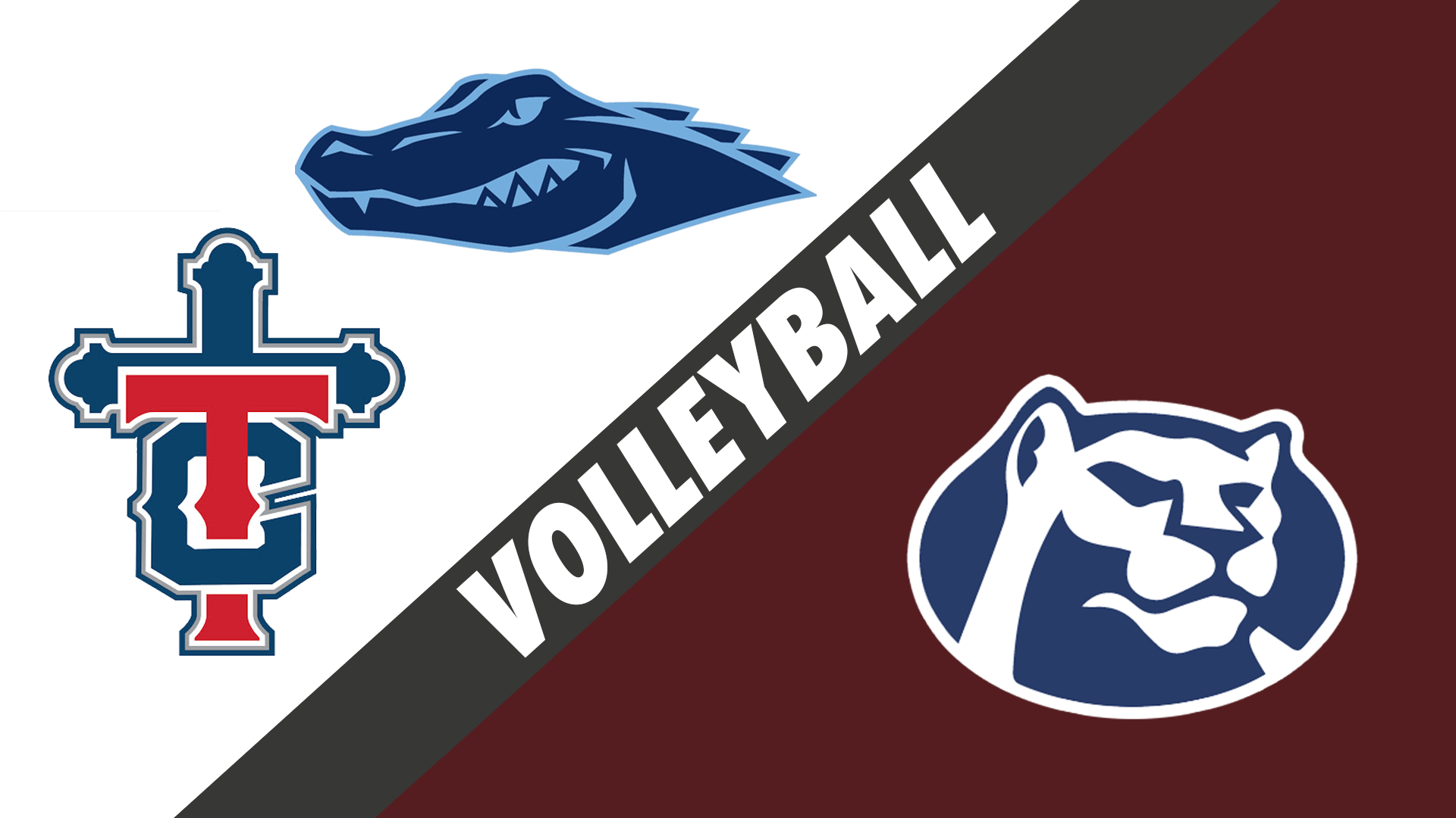 Volleyball Scrimmage: Ascension Episcopal/Teurlings vs. St. Thomas More