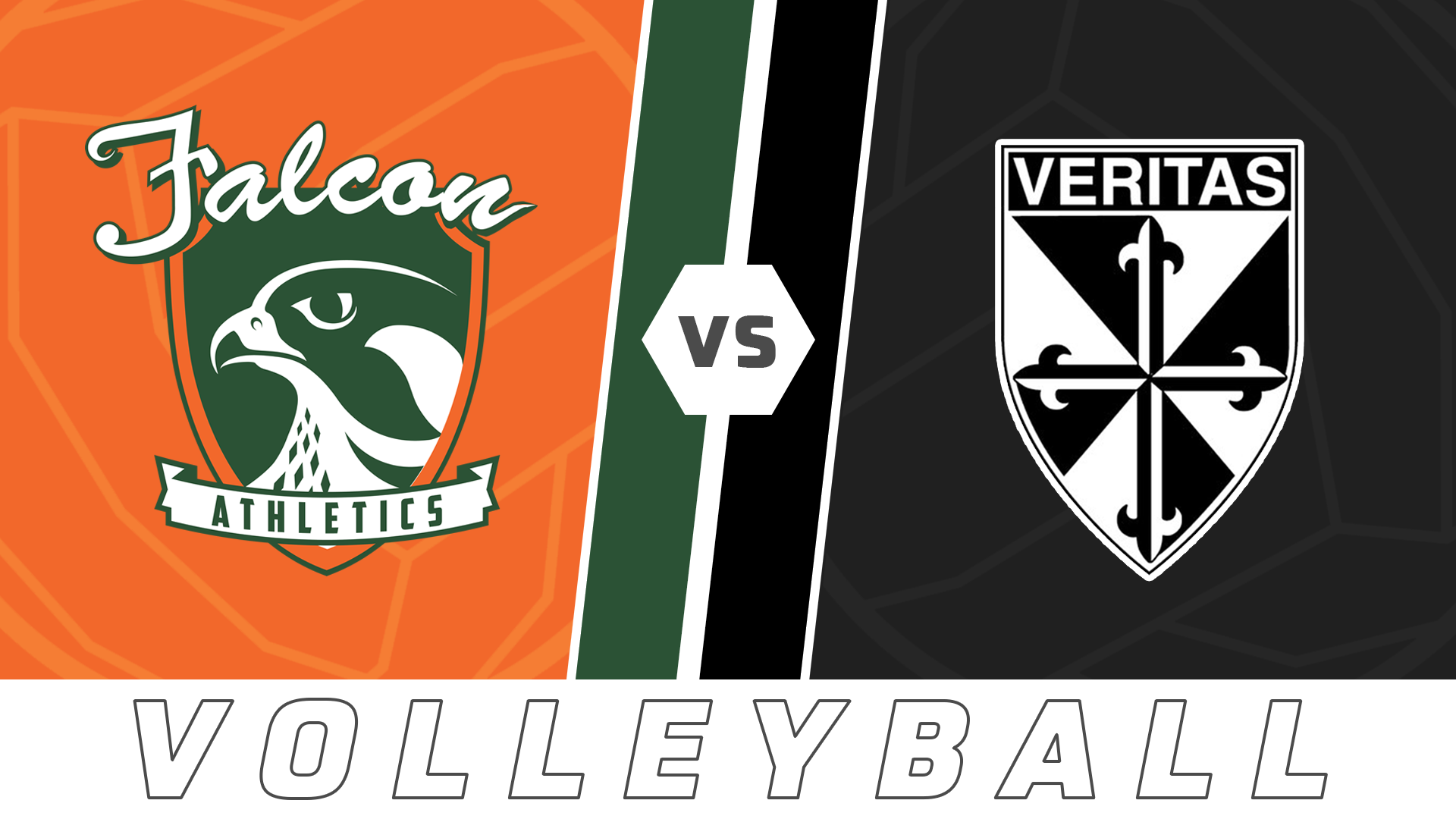 Volleyball: Ben Franklin vs Dominican