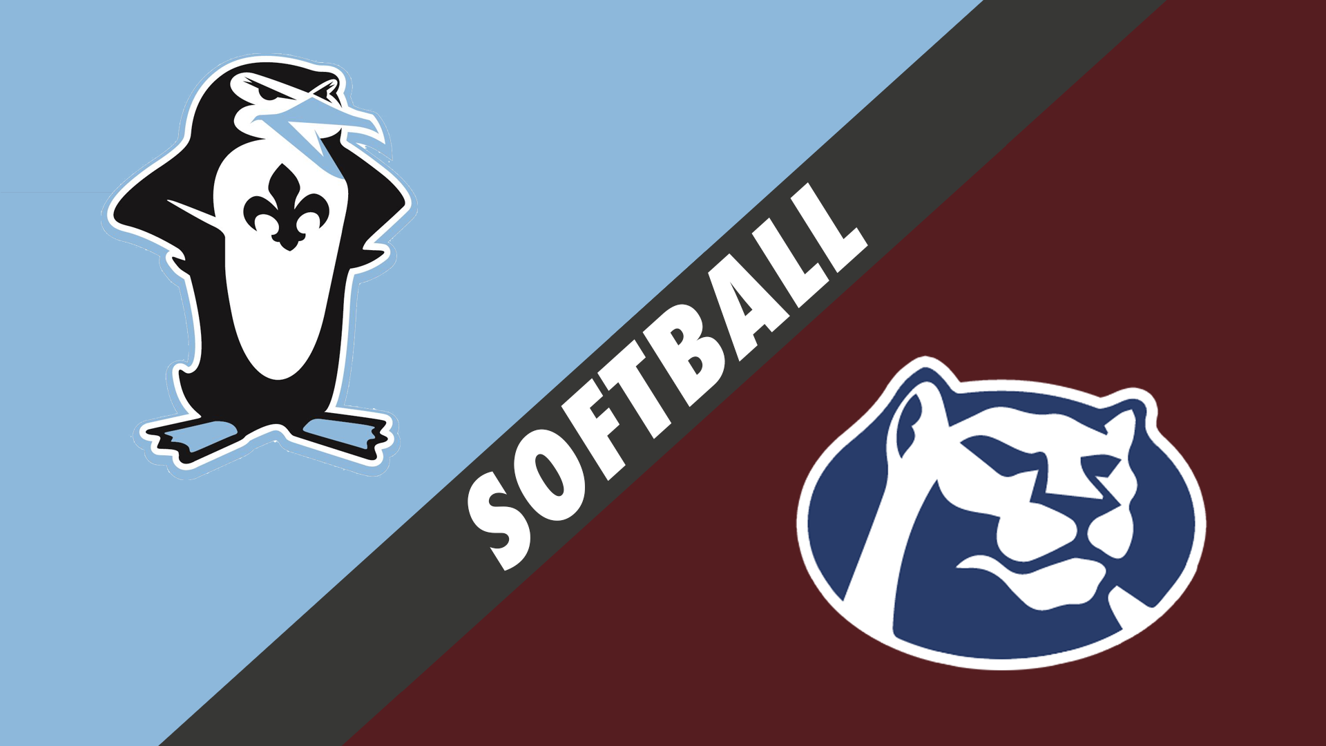 Softball Div II Quarterfinals: Academy of Our Lady vs St. Thomas More