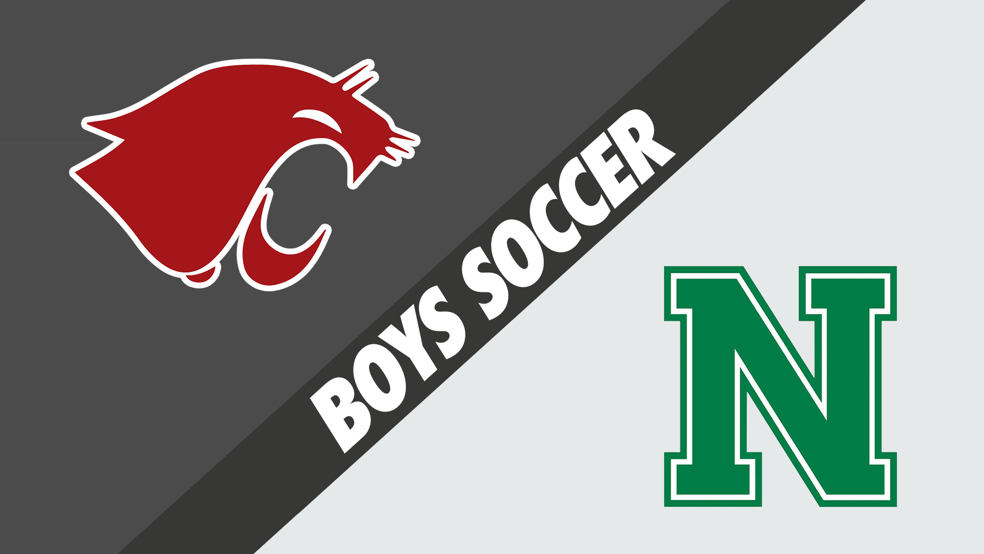 Boys Soccer: Destrehan vs Newman