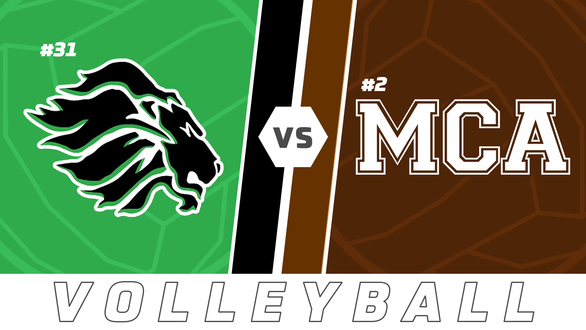 Volleyball Playoffs: Lafayette vs Mount Carmel