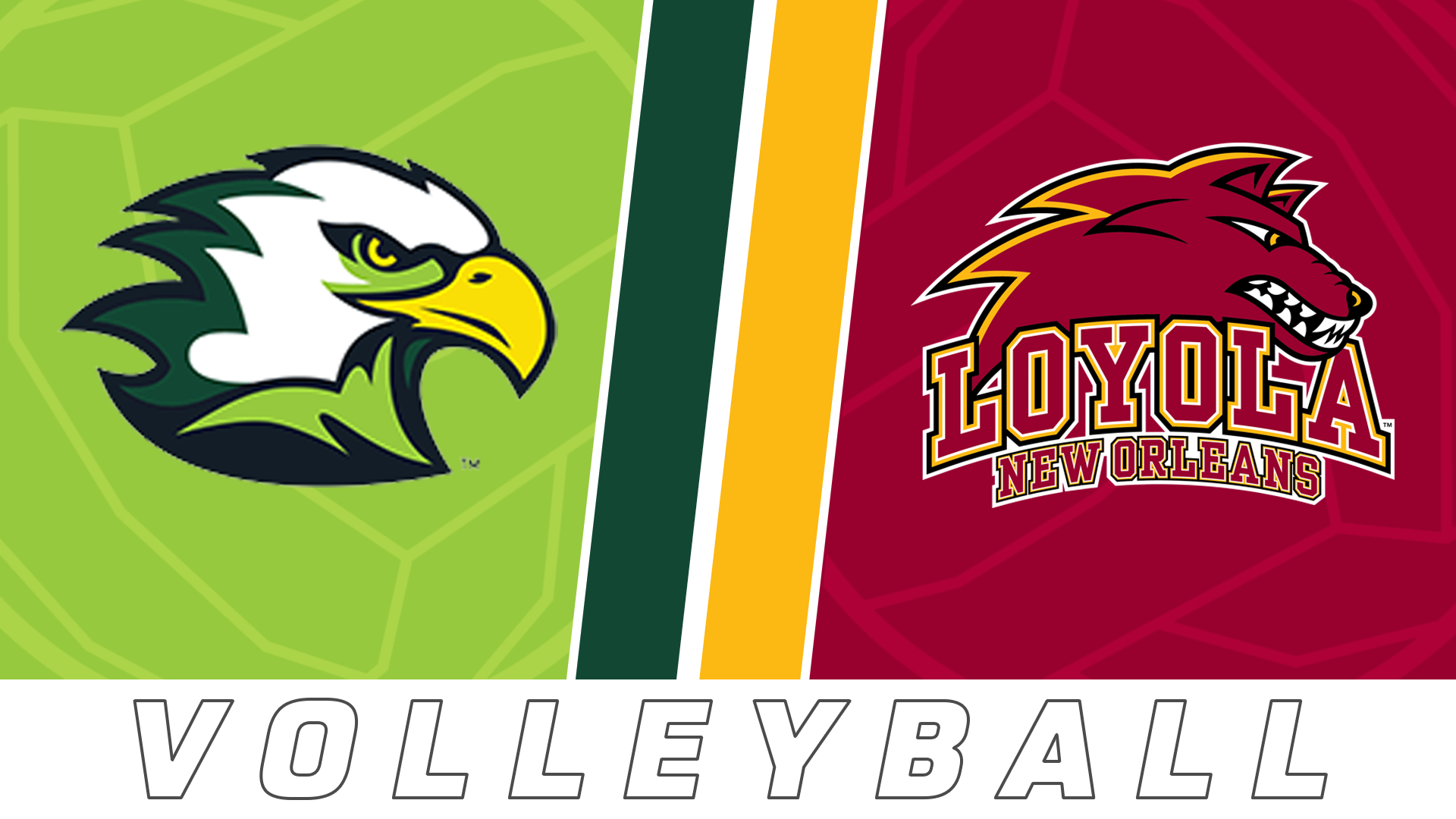 College Volleyball: Life University vs Loyola