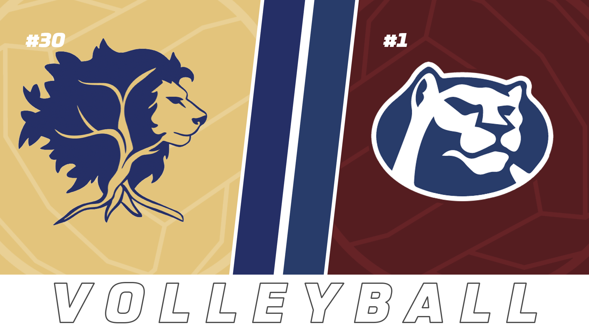 Volleyball Playoffs: The Willow School vs St. Thomas More