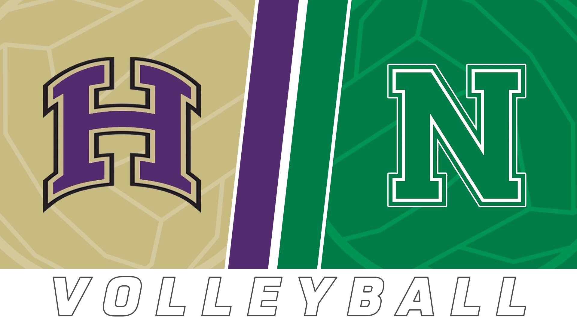 Volleyball: Hahnville vs Newman