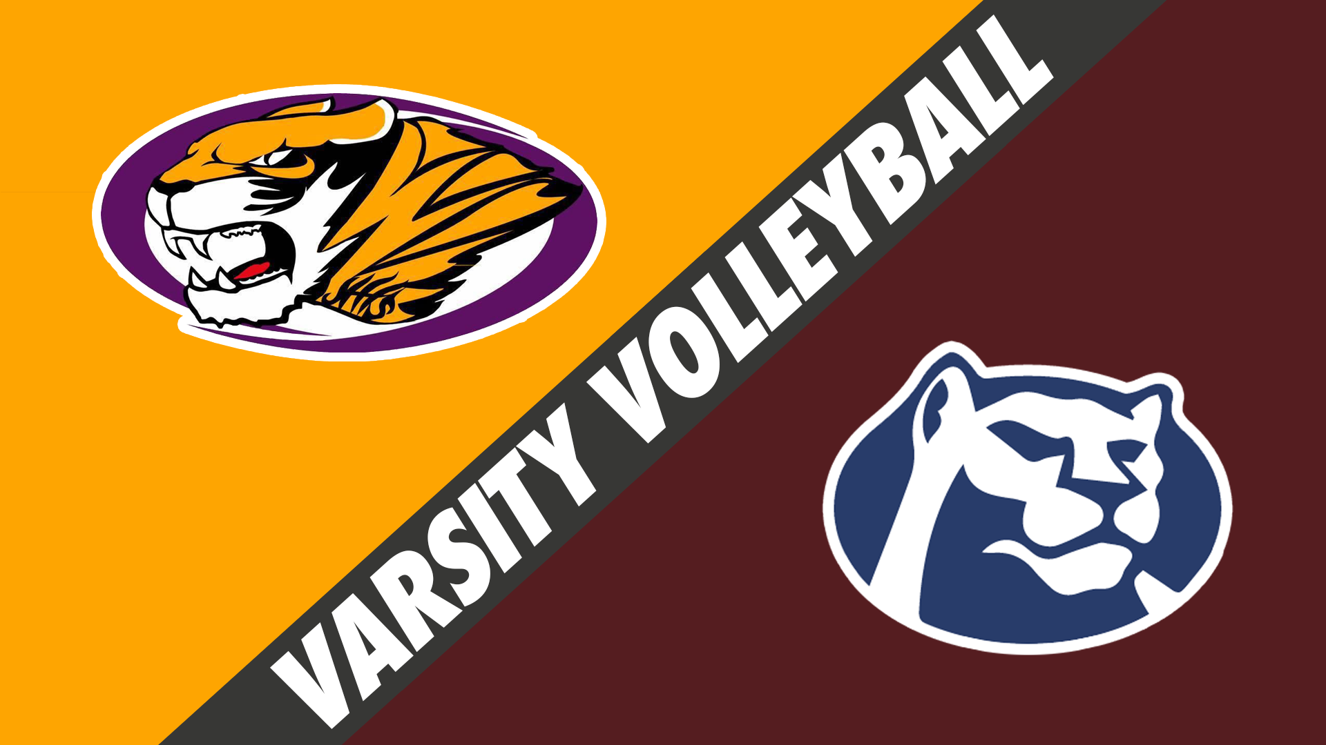 Varsity Volleyball: Westgate vs St. Thomas More