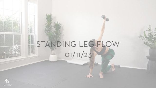 Standing Leg Flow 01/11/23