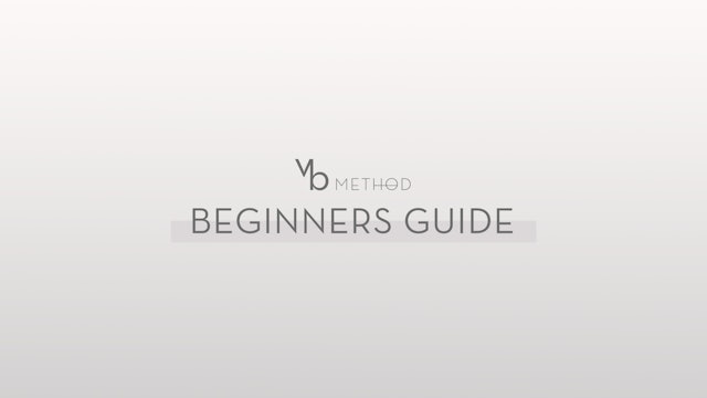 Beginners Guide.pdf