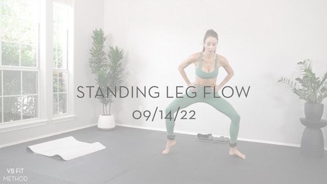 Standing Leg Flow 09/14/22